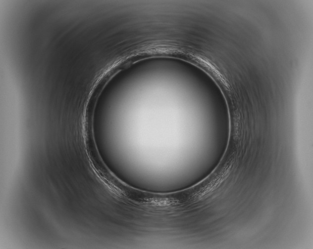 X0000116640439200912211007