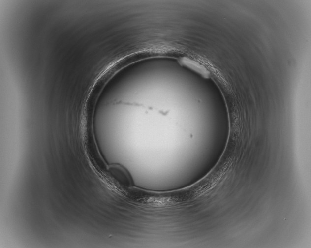 X0000116640440200912211007