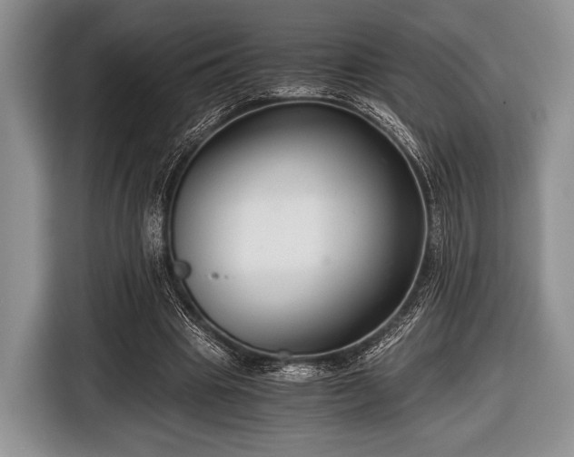 X0000116640441200912211007