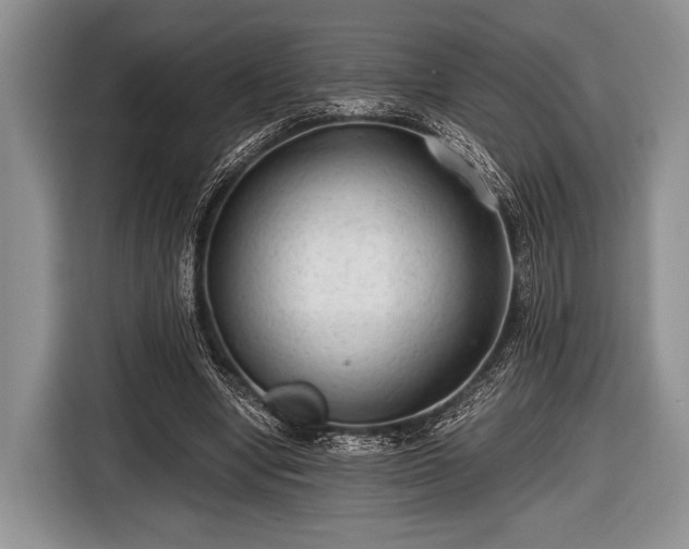 X0000116640442200912211007