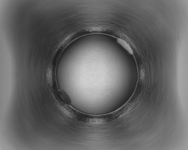 X0000116640444200912211007