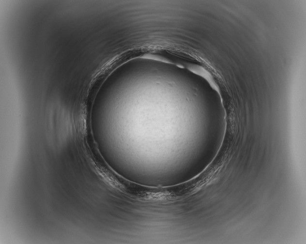 X0000116640446200912211007