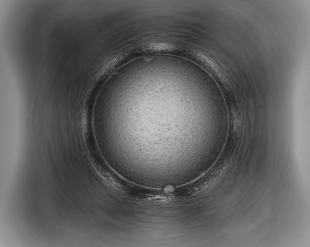 X0000116640447200912211007