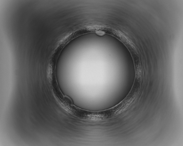 X0000116640448200912211007