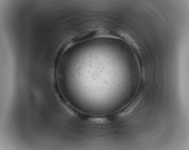 X0000116640449200912211007