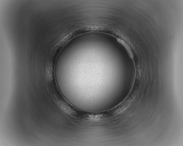 X0000116640450200912211007