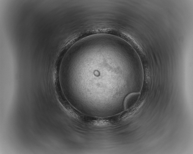 X0000116640451200912211007