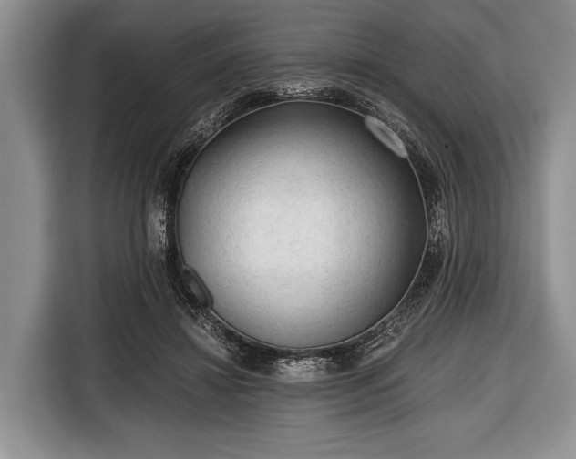 X0000116640452200912211007