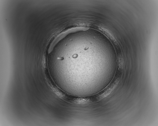 X0000116640453200912211007