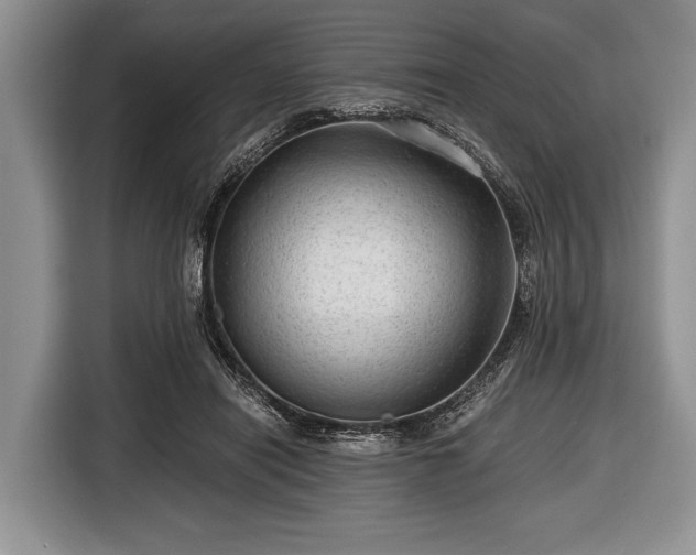 X0000116640454200912211007