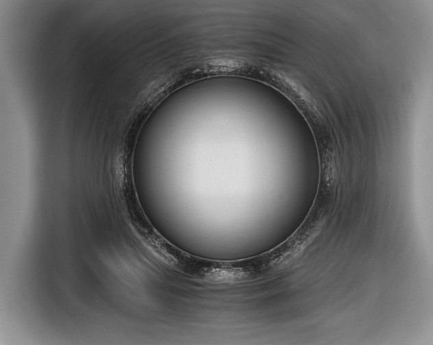 X0000116640455200912211007