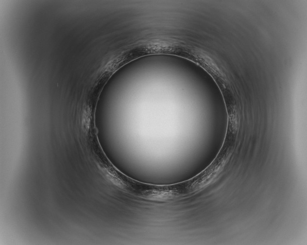 X0000116640458200912211007