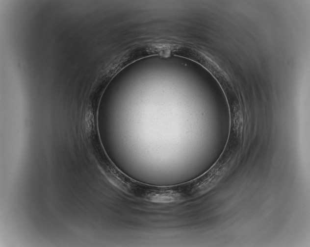 X0000116640459200912211007