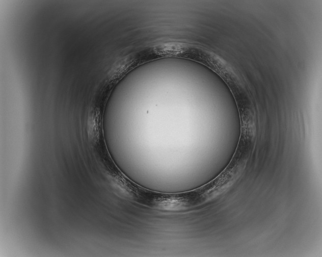 X0000116640460200912211007