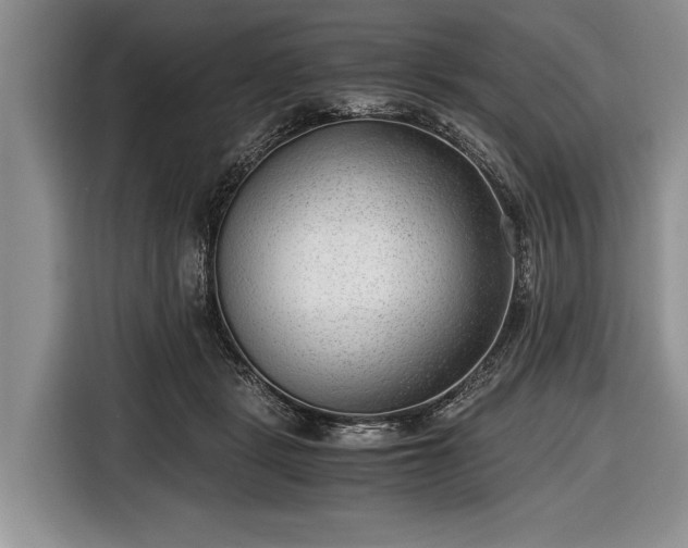 X0000116640461200912211007