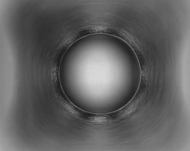 X0000116640462200912211007