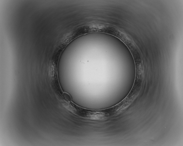 X0000116640463200912211007