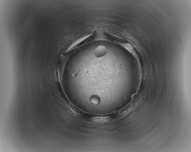 X0000116640465200912211007