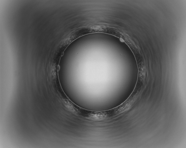 X0000116640466200912211007