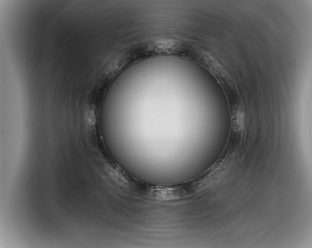 X0000116640472200912211007