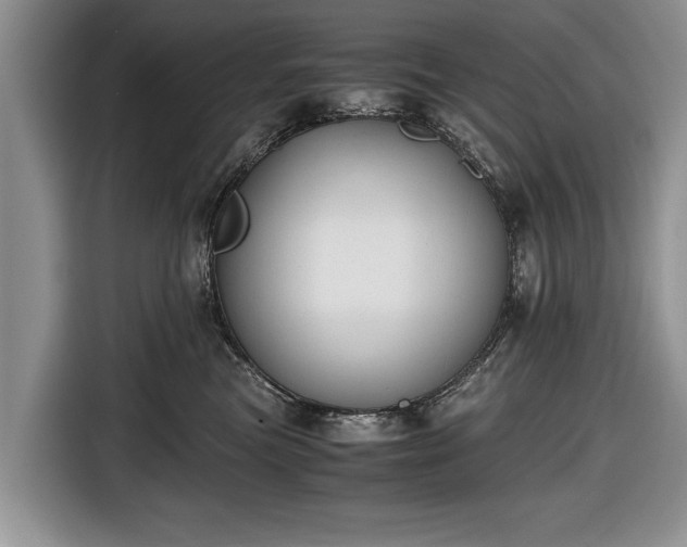 X0000116640473200912211007