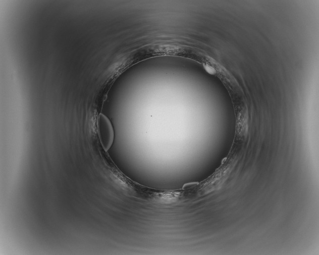 X0000116640474200912211007