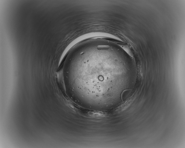 X0000116640475200912211007