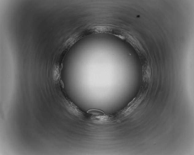 X0000116640478200912211008