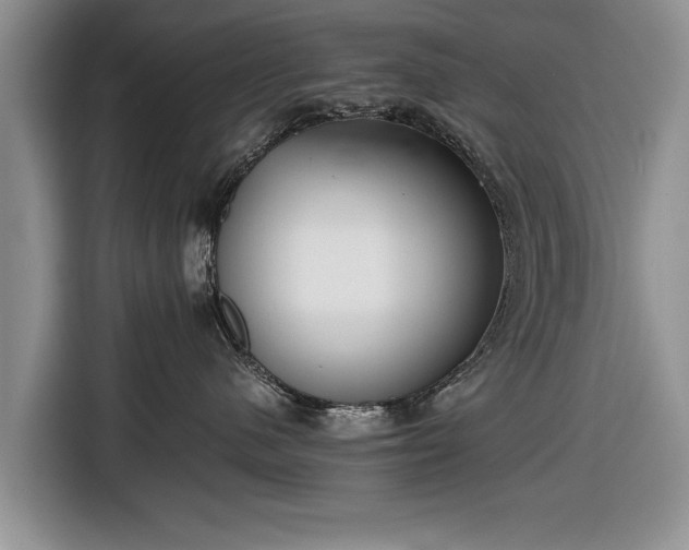 X0000116640480200912211008