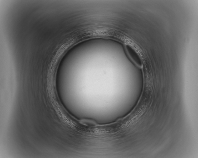 X0000116640481200912211007