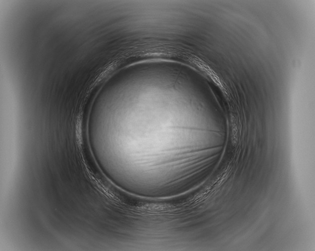 X0000116640482200912211007