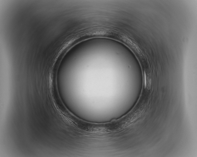 X0000116640483200912211007