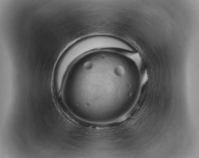 X0000116640484200912211007