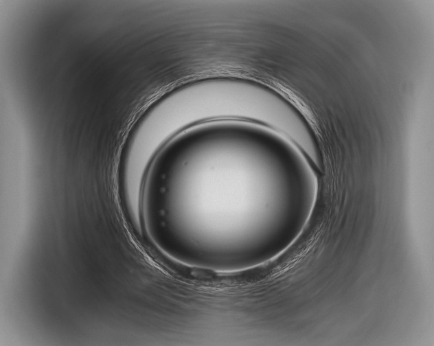 X0000116640485200912211007