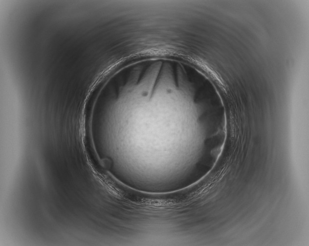 X0000116640486200912211007