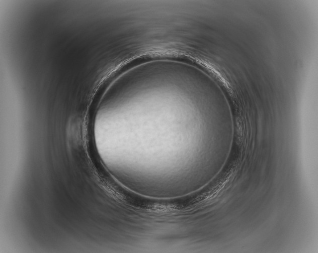 X0000116640487200912211007