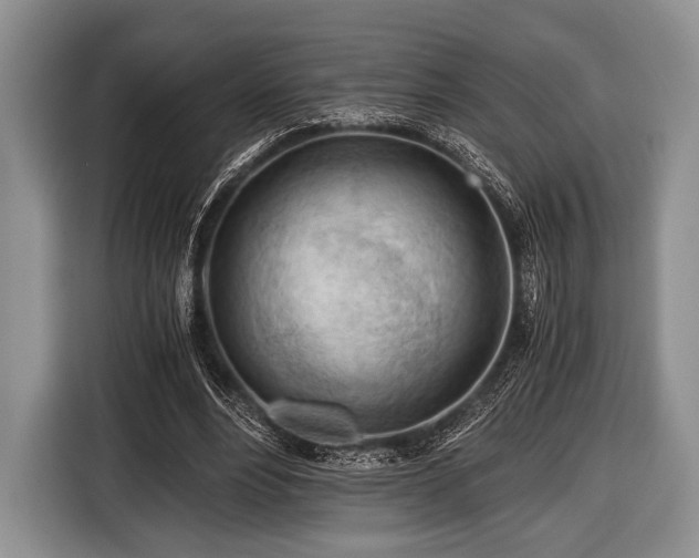 X0000116640488200912211007