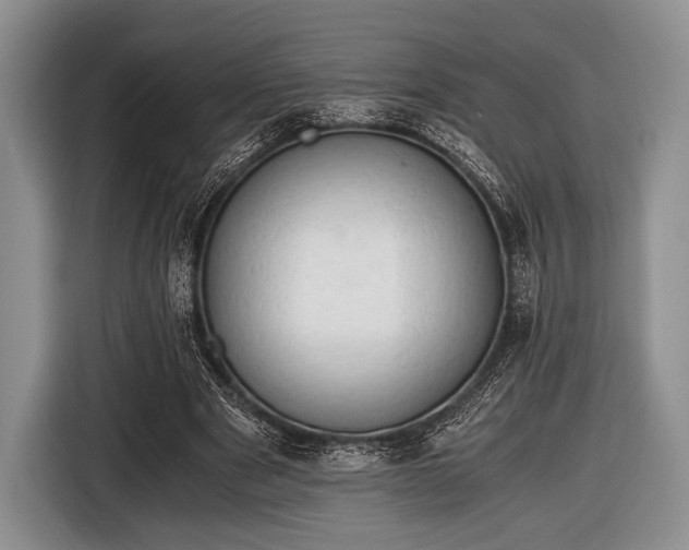 X0000116640489200912211007