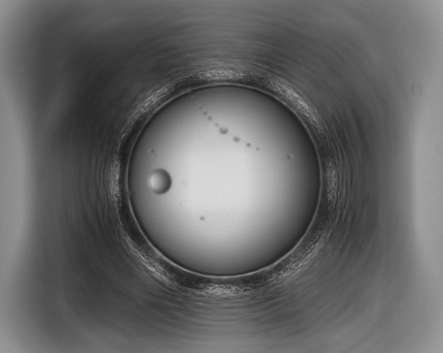 X0000116640490200912211007