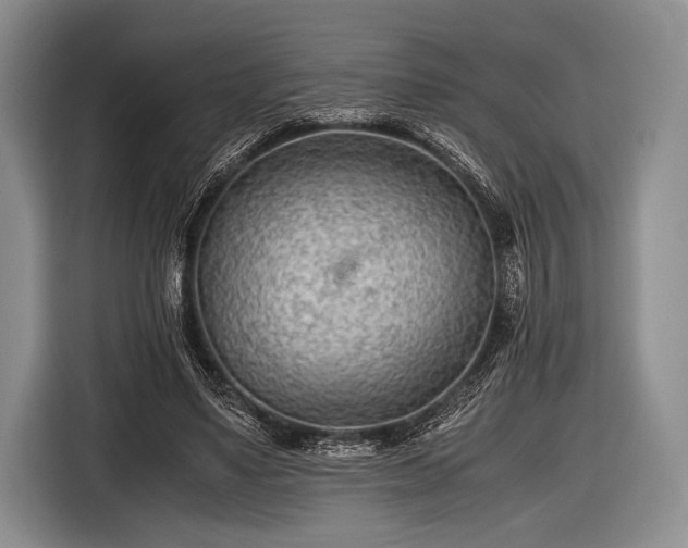 X0000116640491200912211007