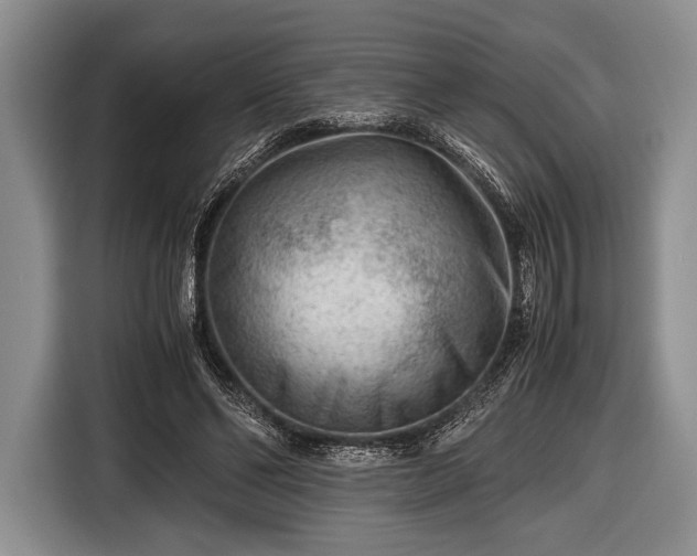 X0000116640494200912211006