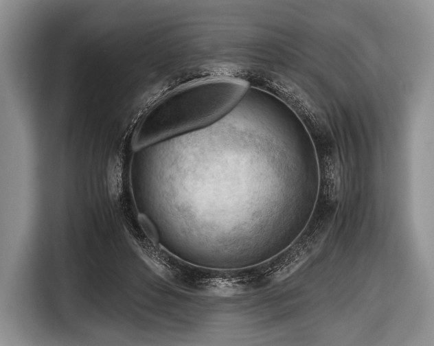 X0000116640496200912211006