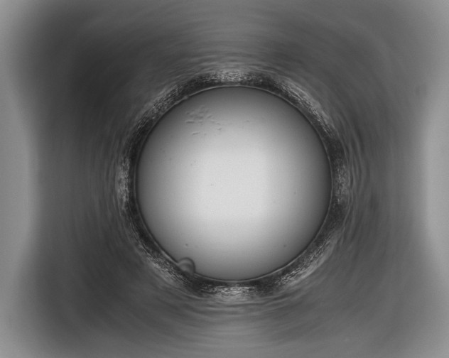 X0000116640497200912211006