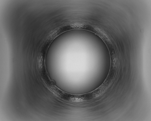 X0000116640498200912211006