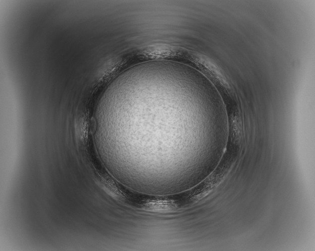 X0000116640499200912211006