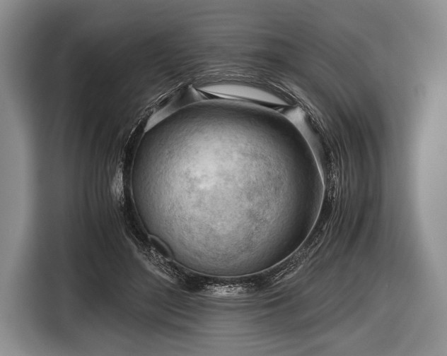 X0000116640500200912211006