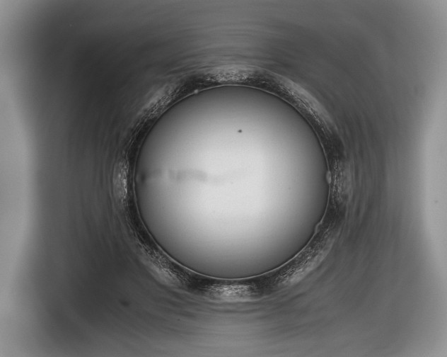 X0000116640501200912211006