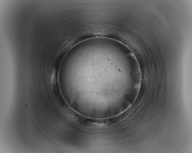 X0000116640502200912211006