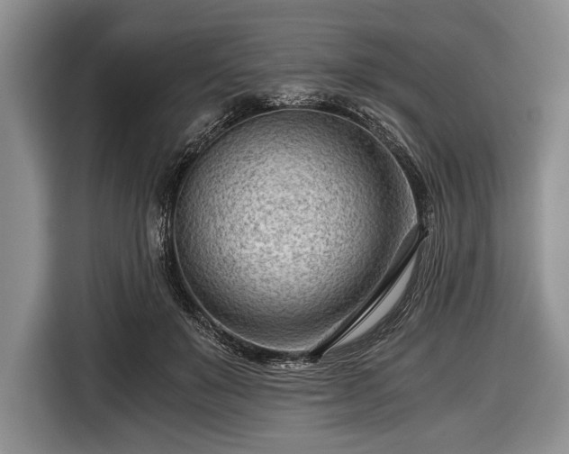 X0000116640503200912211006