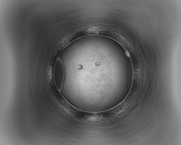 X0000116640504200912211006